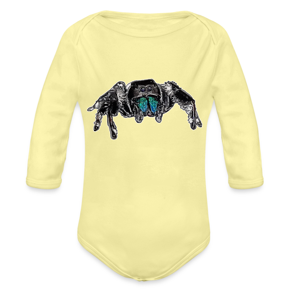 Baby Body lang Phidippus regius Everglades male - Hellgelb