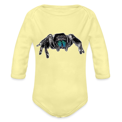 Baby Body lang Phidippus regius Everglades male - Hellgelb