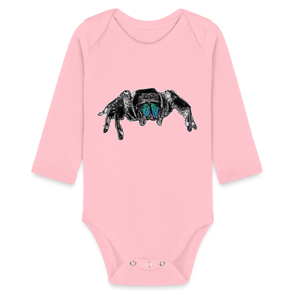 Baby Body lang Phidippus regius Everglades male - Hellrosa