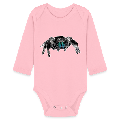 Baby Body lang Phidippus regius Everglades male - Hellrosa