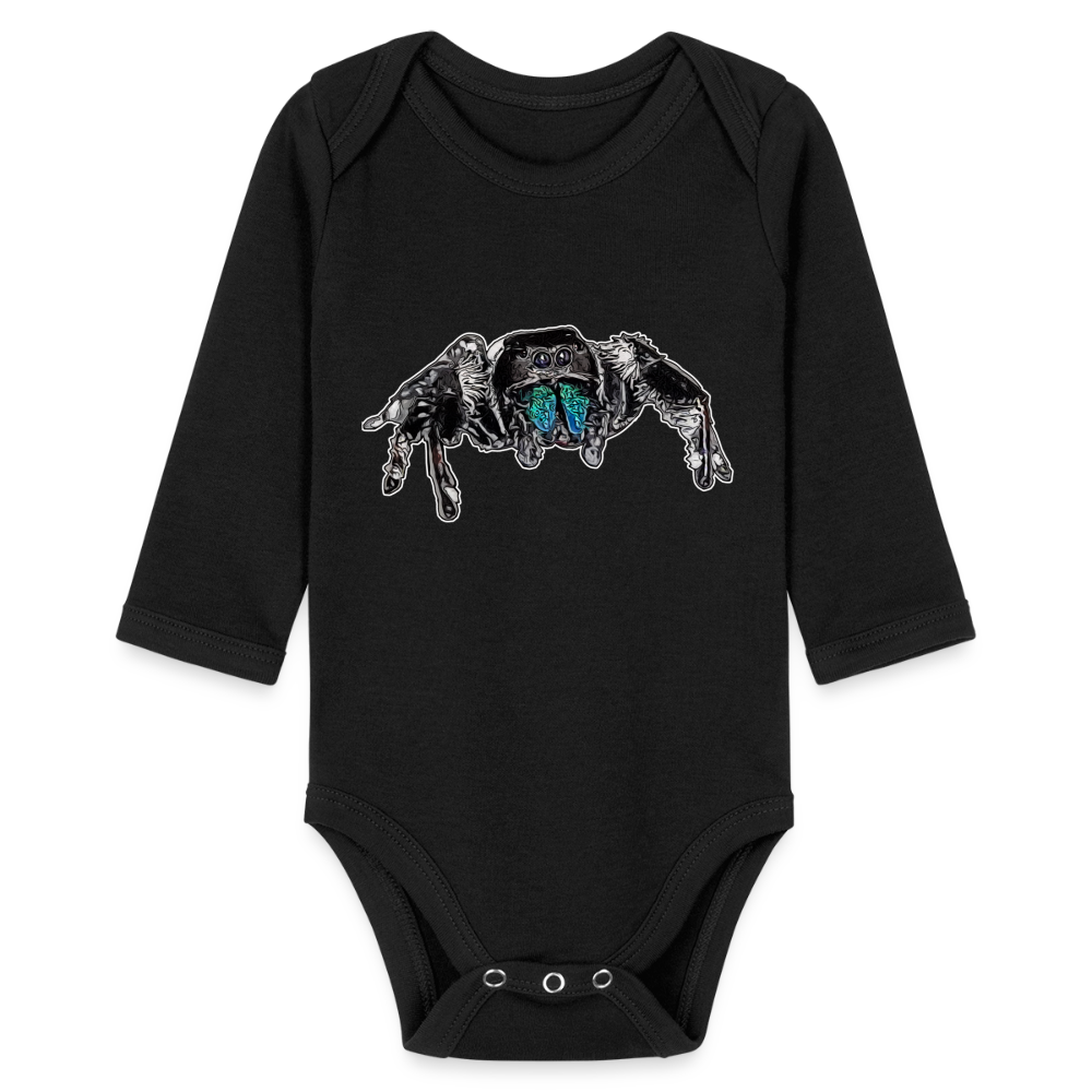 Baby Body lang Phidippus regius Everglades male - Schwarz