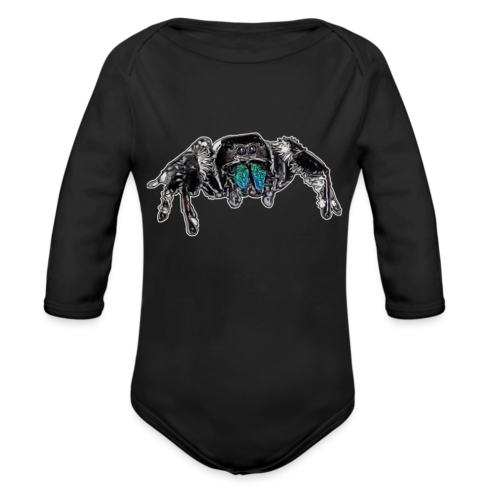 Baby Body lang Phidippus regius Everglades male - Schwarz