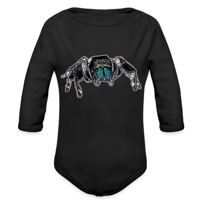 Baby Body lang Phidippus regius Everglades male - Schwarz