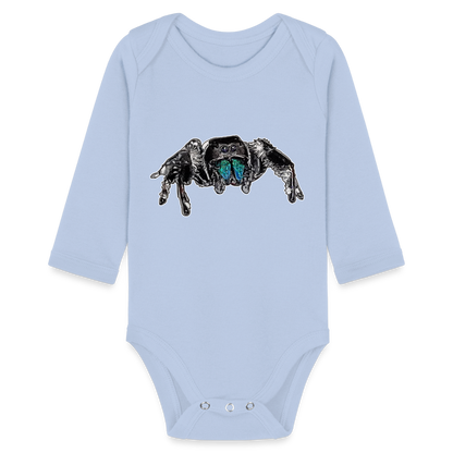 Baby Body lang Phidippus regius Everglades male - Sky