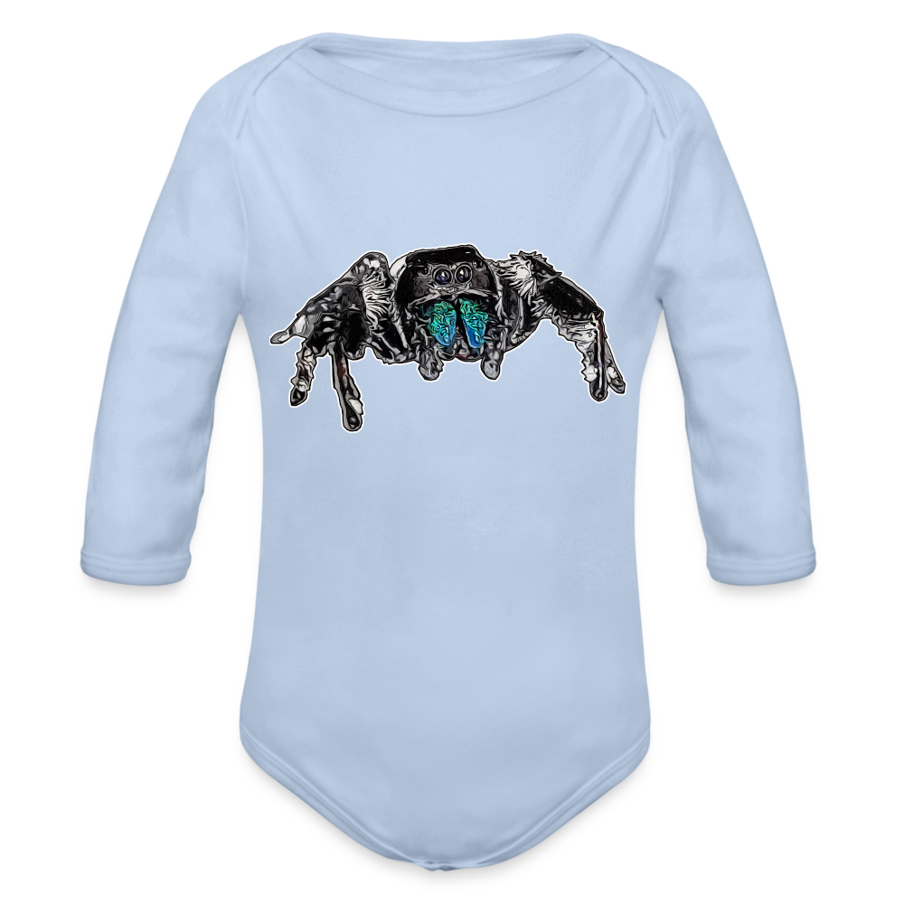 Baby Body lang Phidippus regius Everglades male - Sky