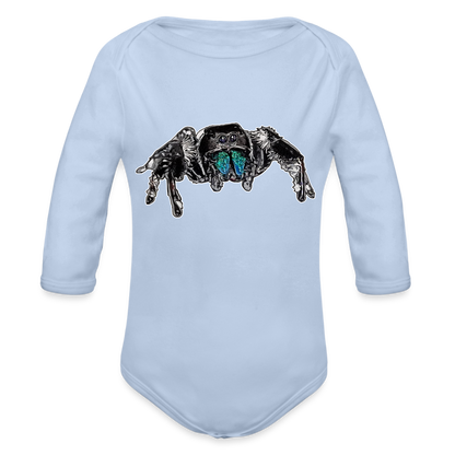 Baby Body lang Phidippus regius Everglades male - Sky