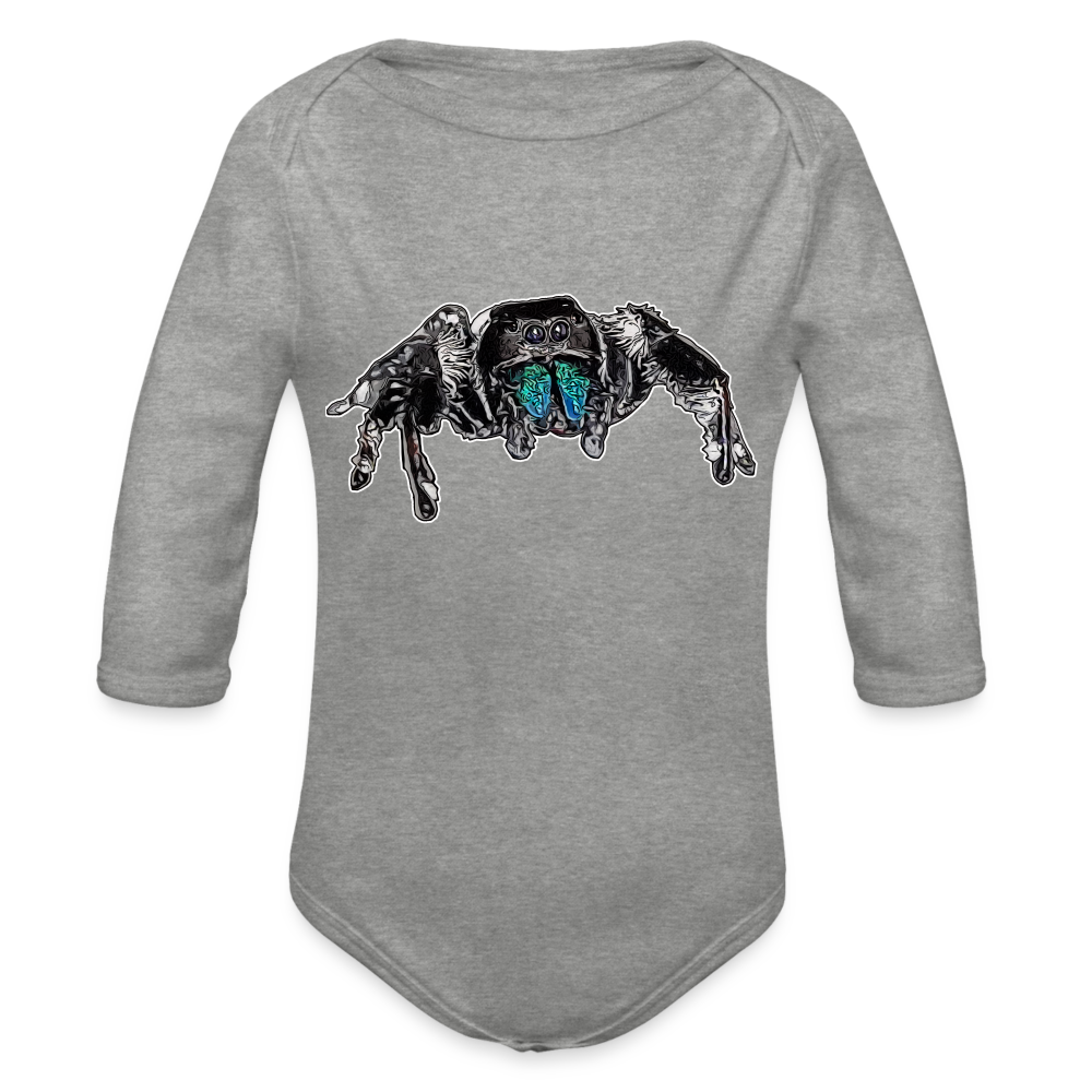 Baby Body lang Phidippus regius Everglades male - Grau meliert