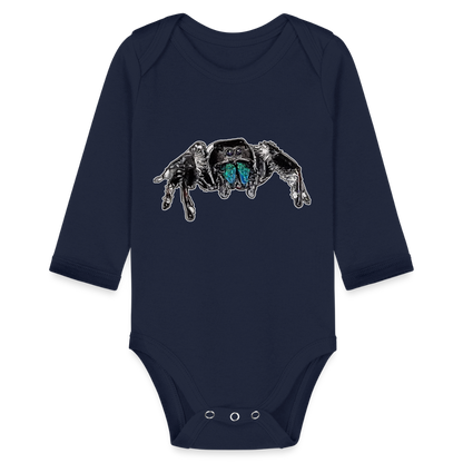 Baby Body lang Phidippus regius Everglades male - Dunkelnavy