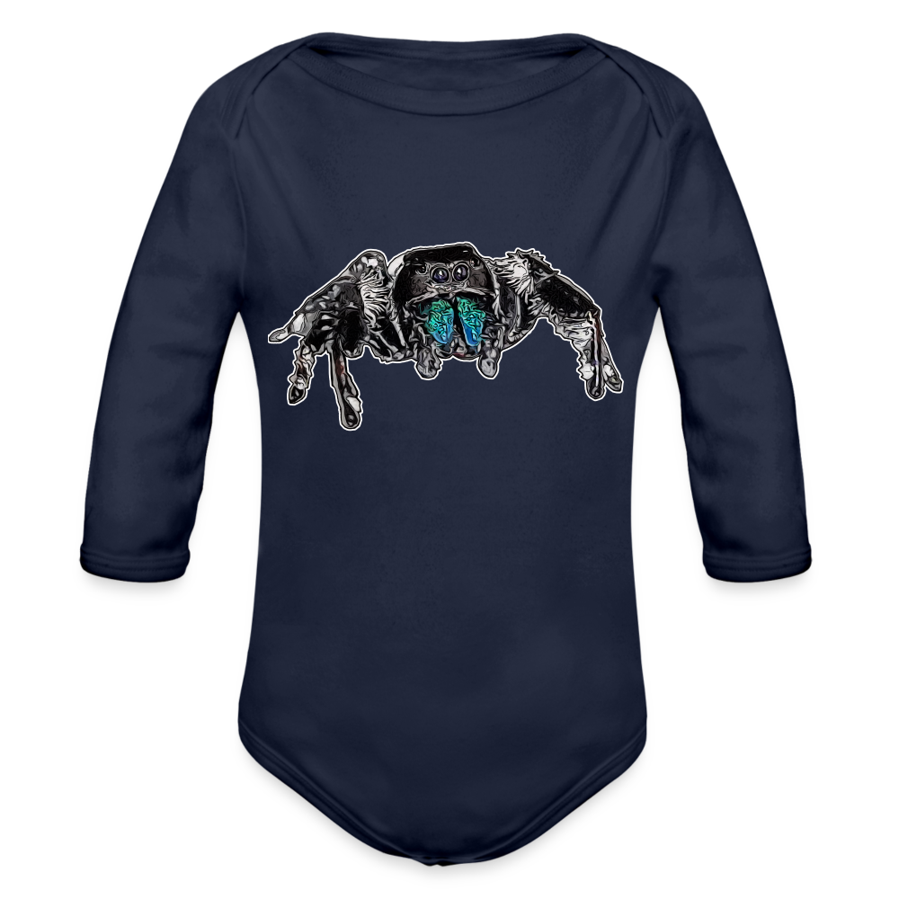 Baby Body lang Phidippus regius Everglades male - Dunkelnavy