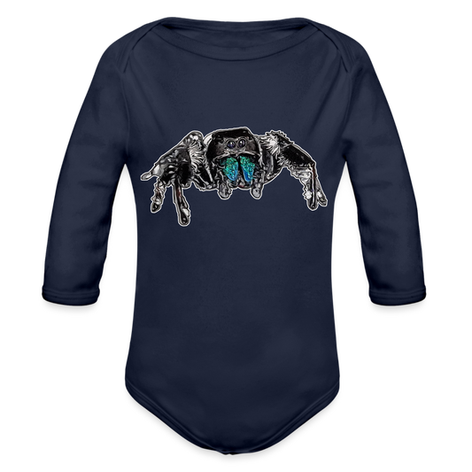 Baby Body lang Phidippus regius Everglades male - Dunkelnavy