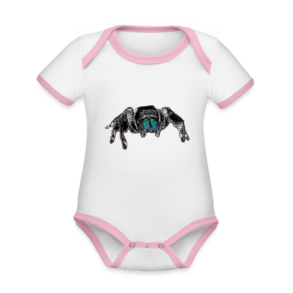 Baby Kontrastbody kurz Phidippus regius Everglades male - Weiß/Rose