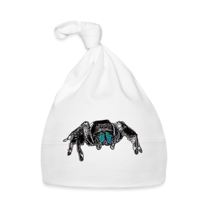 Baby Mützchen Phidippus regius Everglades male - weiß