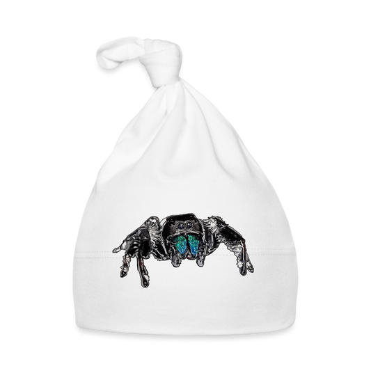 Baby Mützchen Phidippus regius Everglades male - weiß