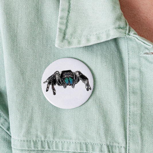Buttons groß 56 mm (5er Pack) Phidippus regius Everglades male - weiß