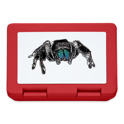 Lunchbox Phidippus regius Everglades male - Rot