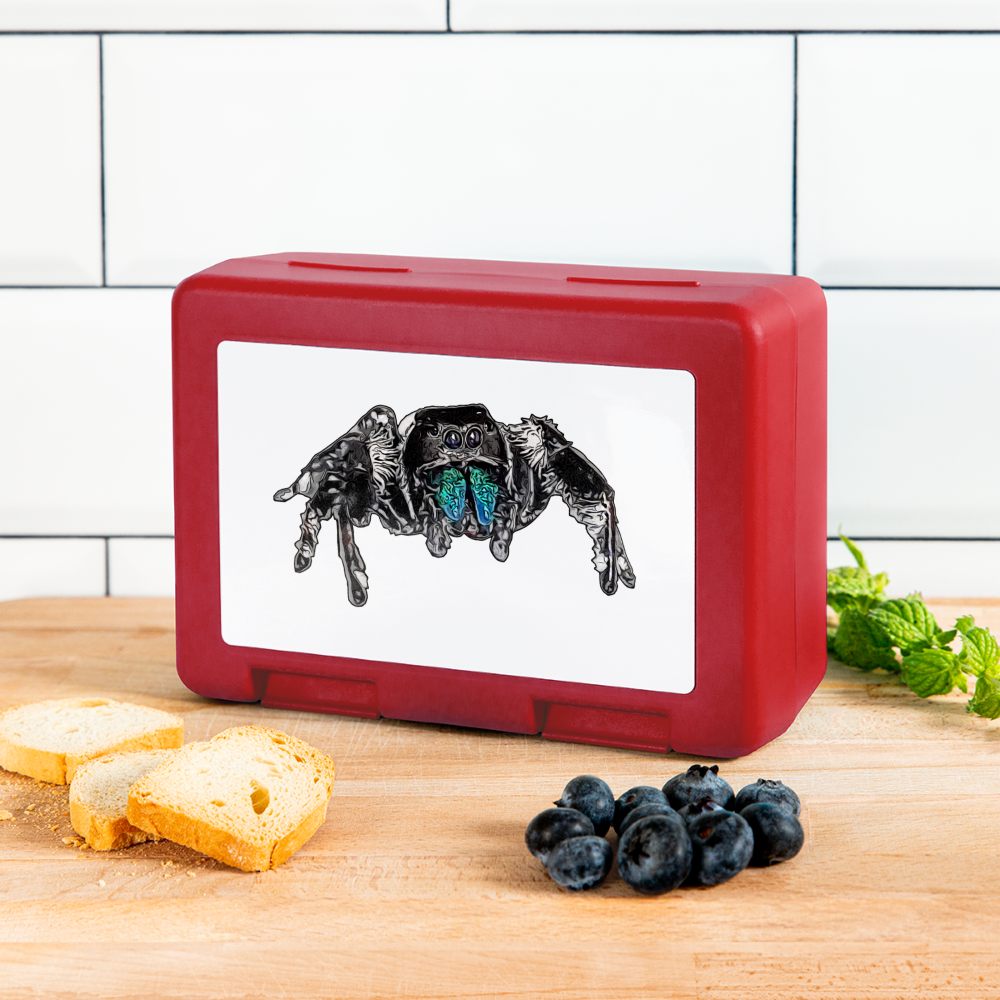 Lunchbox Phidippus regius Everglades male - Rot