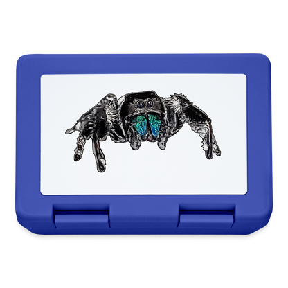 Lunchbox Phidippus regius Everglades male - Royalblau