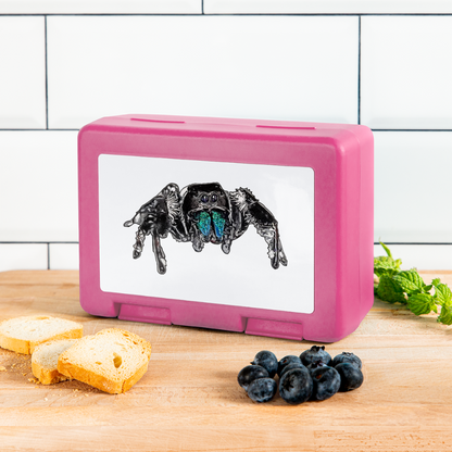 Lunchbox Phidippus regius Everglades male - Pink