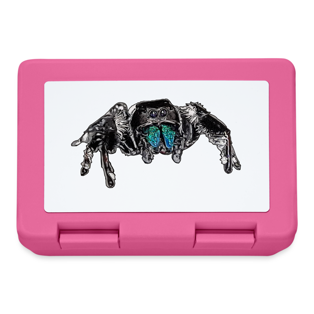Lunchbox Phidippus regius Everglades male - Pink