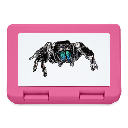 Lunchbox Phidippus regius Everglades male - Pink