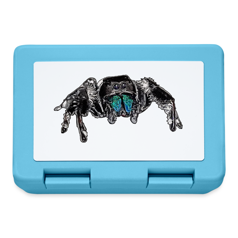 Lunchbox Phidippus regius Everglades male - Saphirblau