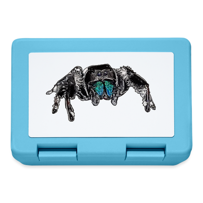 Lunchbox Phidippus regius Everglades male - Saphirblau