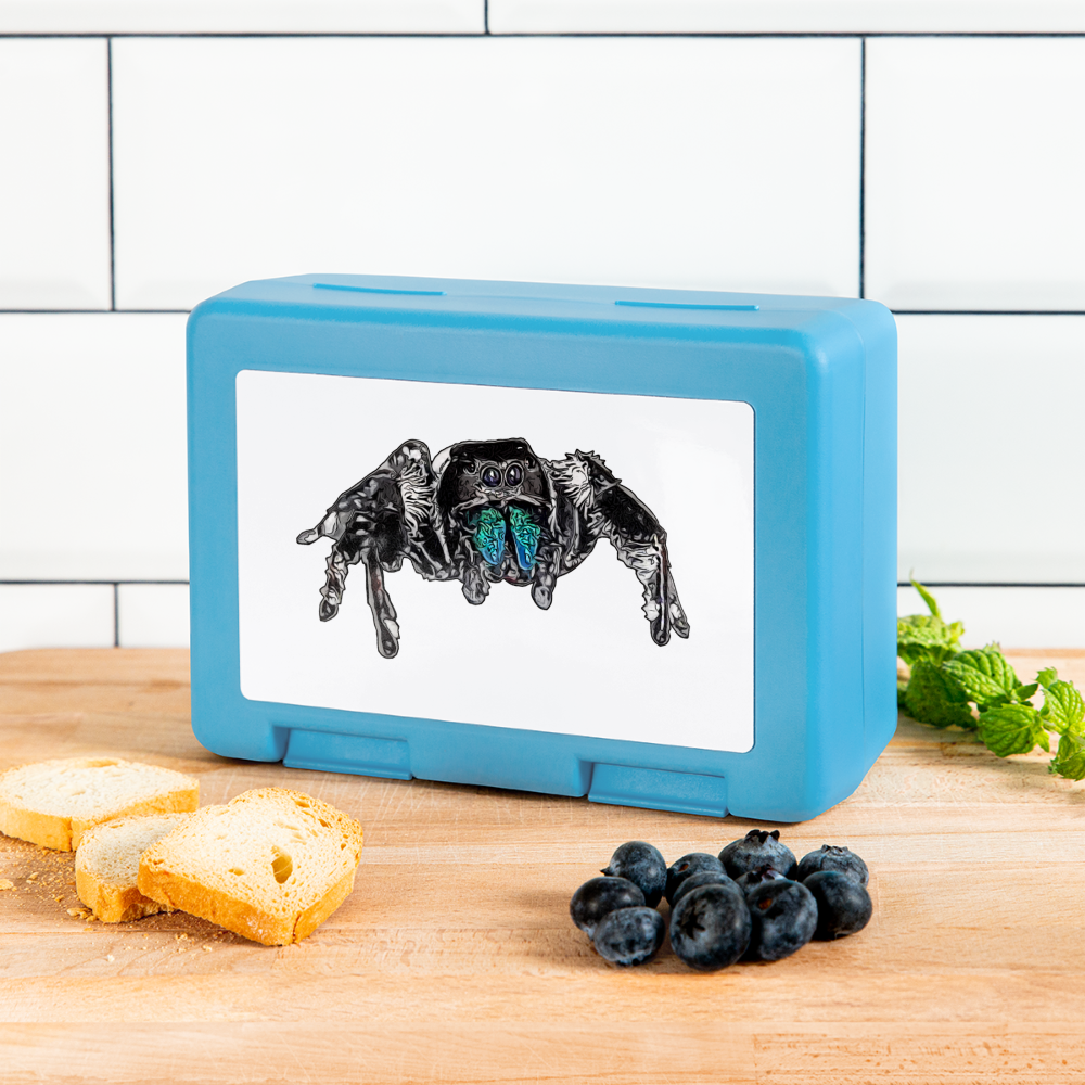 Lunchbox Phidippus regius Everglades male - Saphirblau