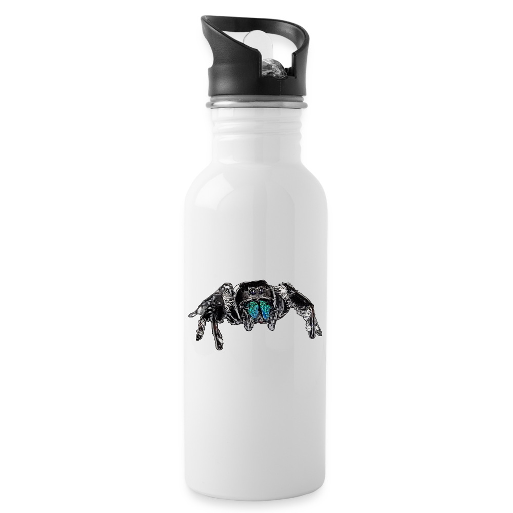 Trinkflasche Phidippus regius Everglades male - weiß