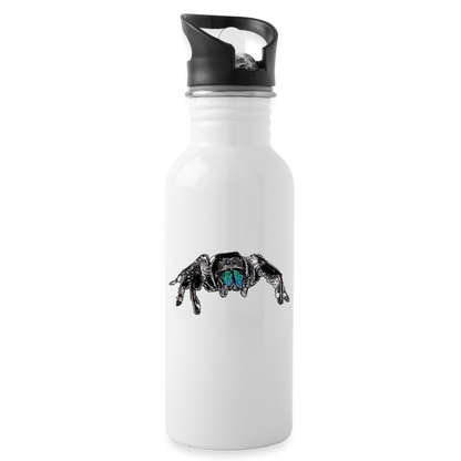 Trinkflasche Phidippus regius Everglades male - weiß