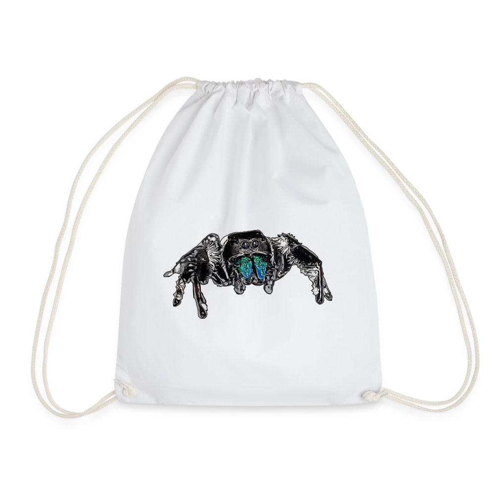 Turnbeutel Phidippus regius Everglades male - weiß