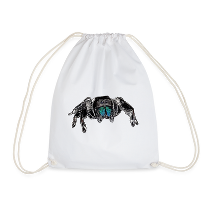 Turnbeutel Phidippus regius Everglades male - weiß