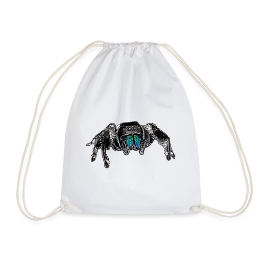 Turnbeutel Phidippus regius Everglades male - weiß