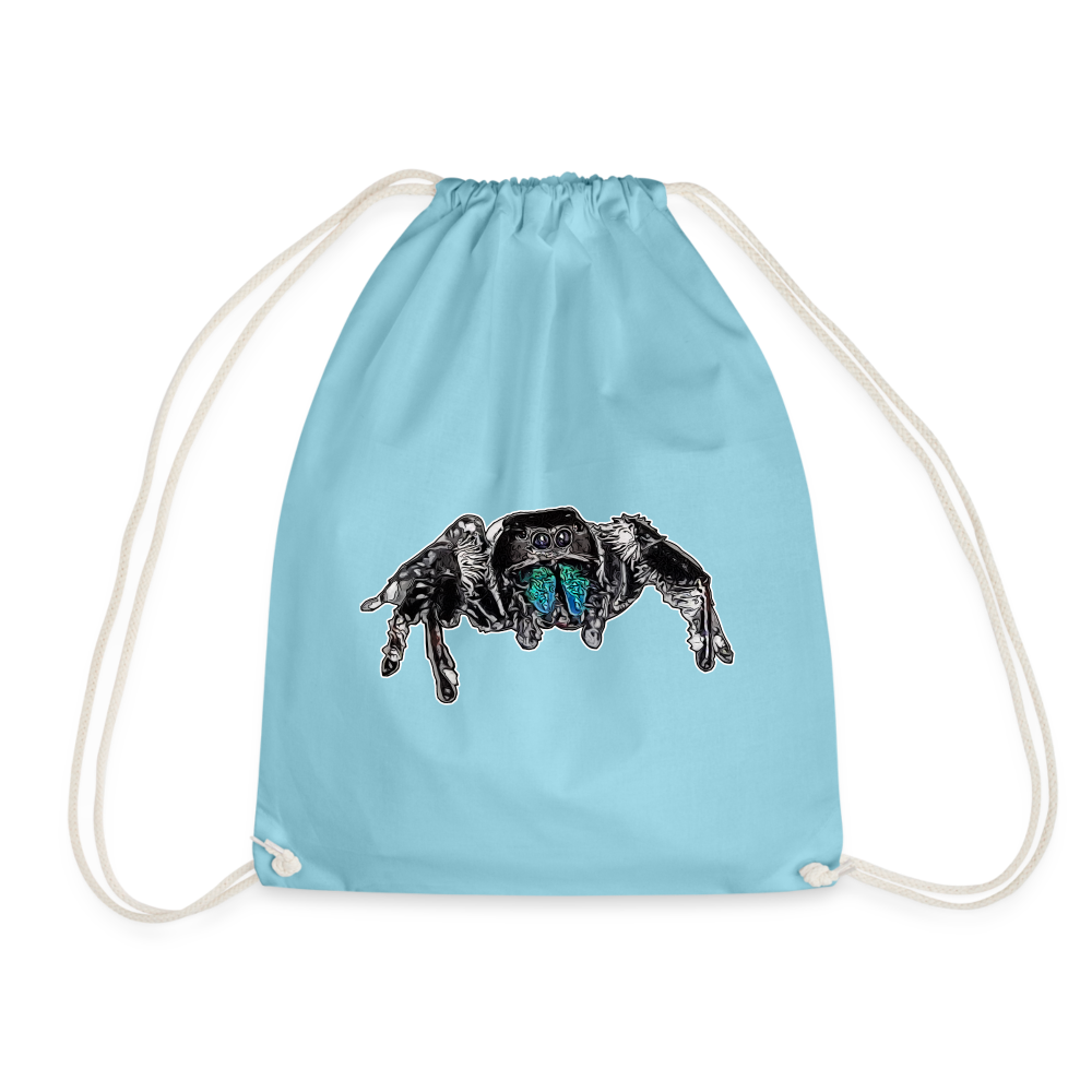 Turnbeutel Phidippus regius Everglades male - Aqua