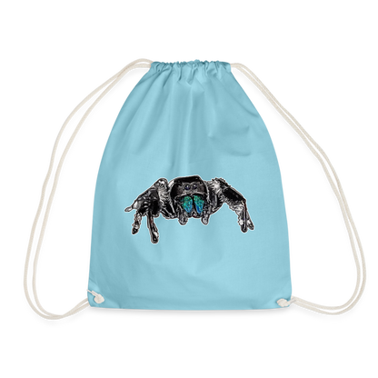 Turnbeutel Phidippus regius Everglades male - Aqua