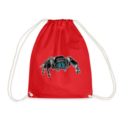 Turnbeutel Phidippus regius Everglades male - Rot