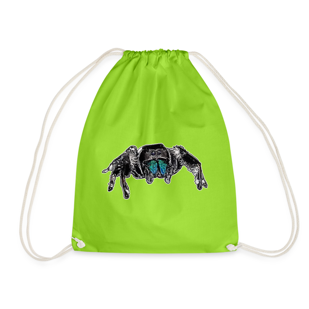 Turnbeutel Phidippus regius Everglades male - Neongrün