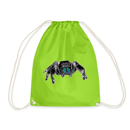 Turnbeutel Phidippus regius Everglades male - Neongrün