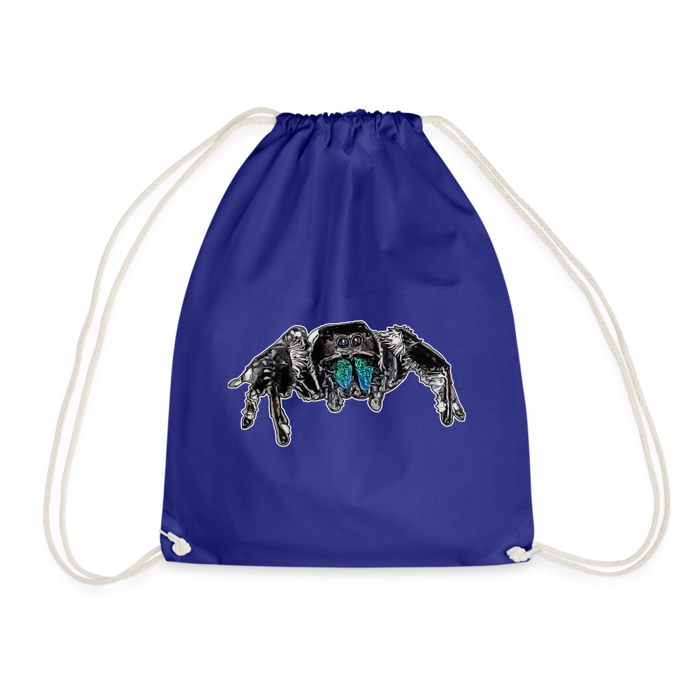 Turnbeutel Phidippus regius Everglades male - Königsblau