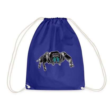 Turnbeutel Phidippus regius Everglades male - Königsblau