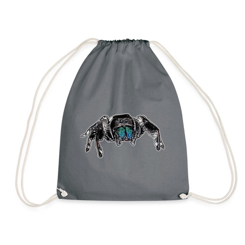 Turnbeutel Phidippus regius Everglades male - Grau