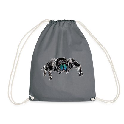 Turnbeutel Phidippus regius Everglades male - Grau