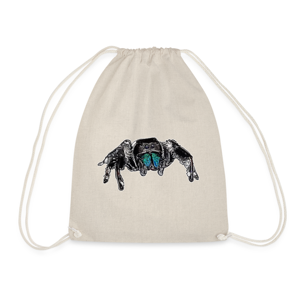 Turnbeutel Phidippus regius Everglades male - Natur