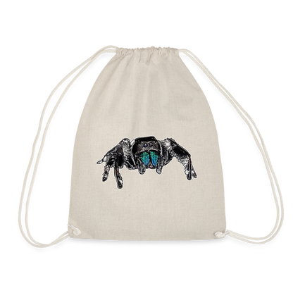 Turnbeutel Phidippus regius Everglades male - Natur