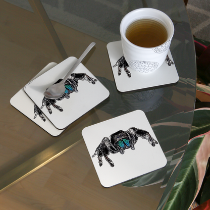 Untersetzer 4er Set Phidippus regius Everglades male - weiß