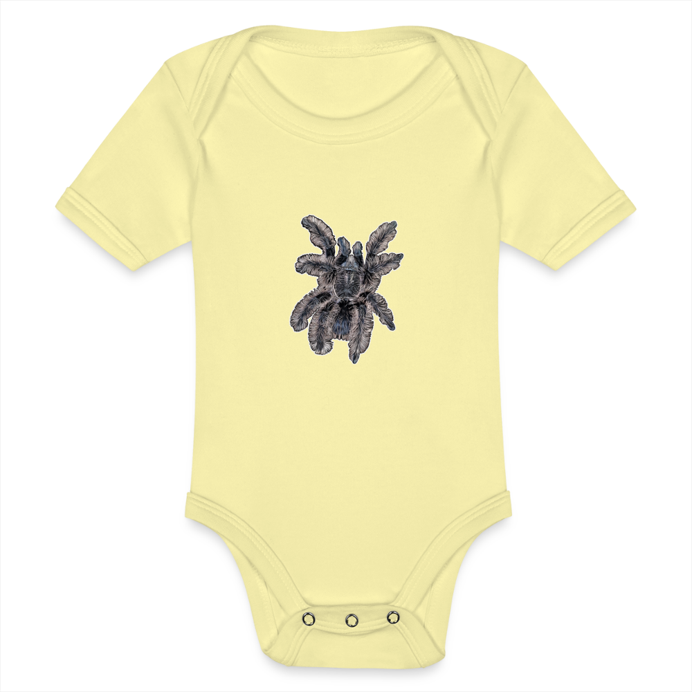 Baby Body kurz Tliltocatl albopilosus - Hellgelb
