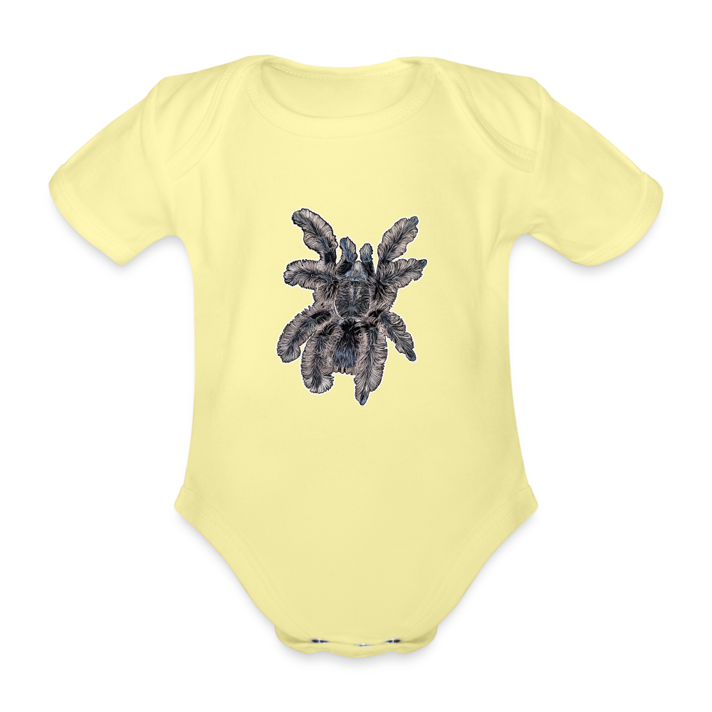Baby Body kurz Tliltocatl albopilosus - Hellgelb