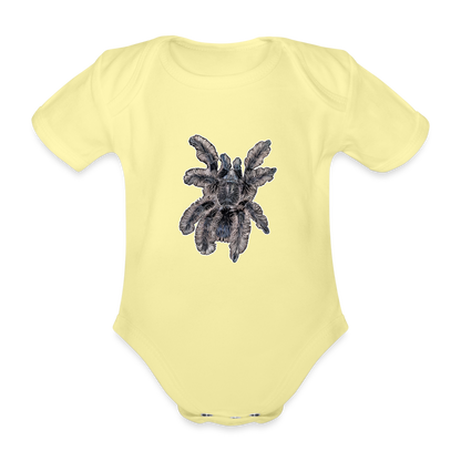 Baby Body kurz Tliltocatl albopilosus - Hellgelb