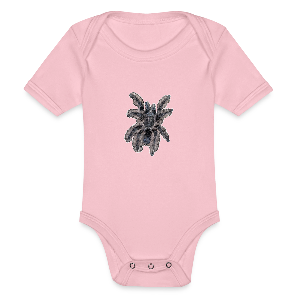 Baby Body kurz Tliltocatl albopilosus - Hellrosa