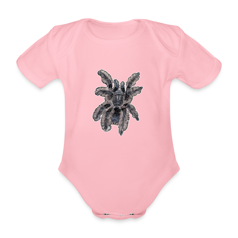 Baby Body kurz Tliltocatl albopilosus - Hellrosa