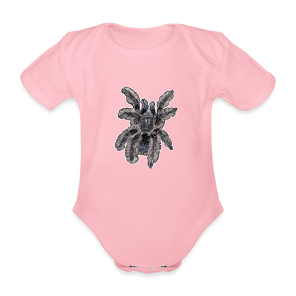 Baby Body kurz Tliltocatl albopilosus - Hellrosa